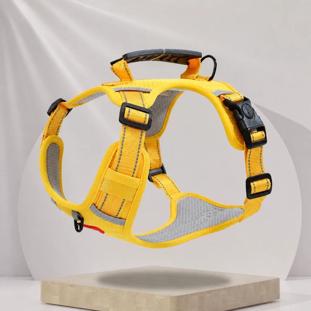 Nylon Dog Harness with Optional Leash