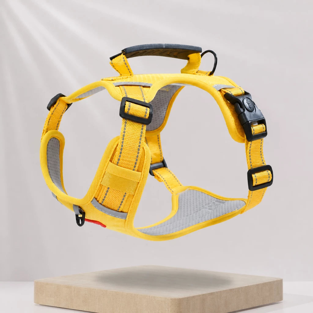 Nylon Dog Harness with Optional Leash