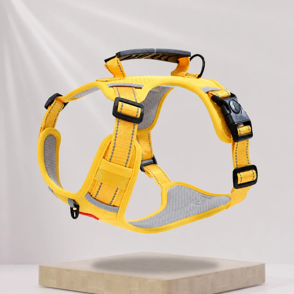 Nylon Dog Harness with Optional Leash