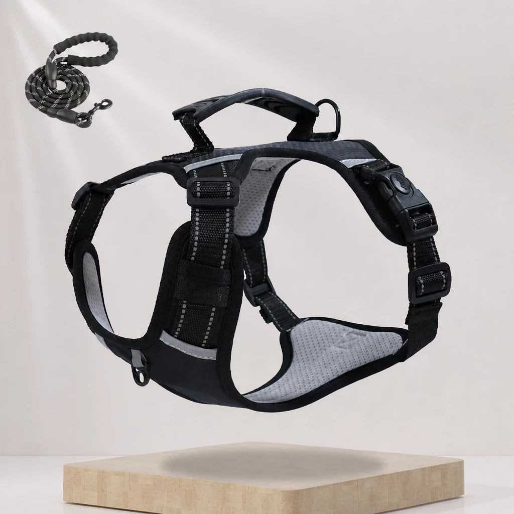 Nylon Dog Harness with Optional Leash