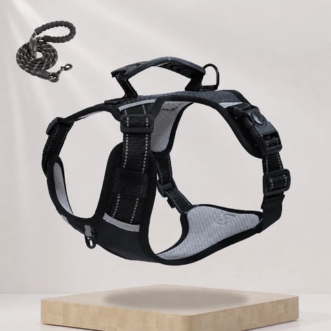 Nylon Dog Harness with Optional Leash