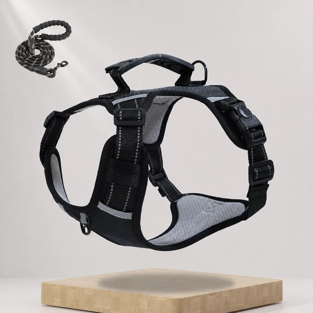 Nylon Dog Harness with Optional Leash