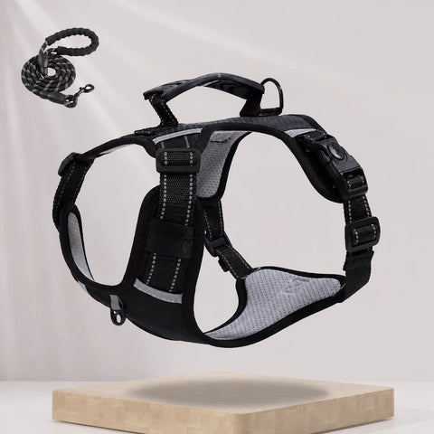 Nylon Dog Harness with Optional Leash