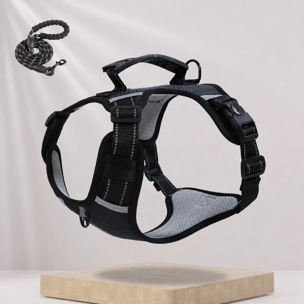 Nylon Dog Harness with Optional Leash