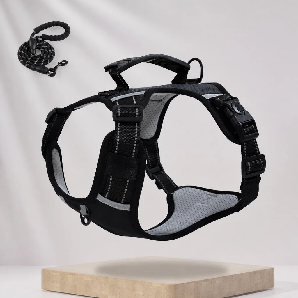Nylon Dog Harness with Optional Leash