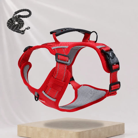 Nylon Dog Harness with Optional Leash