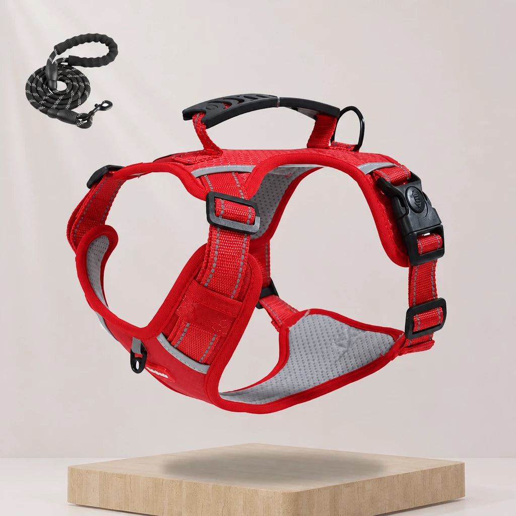 Nylon Dog Harness with Optional Leash