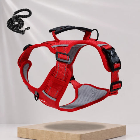 Nylon Dog Harness with Optional Leash