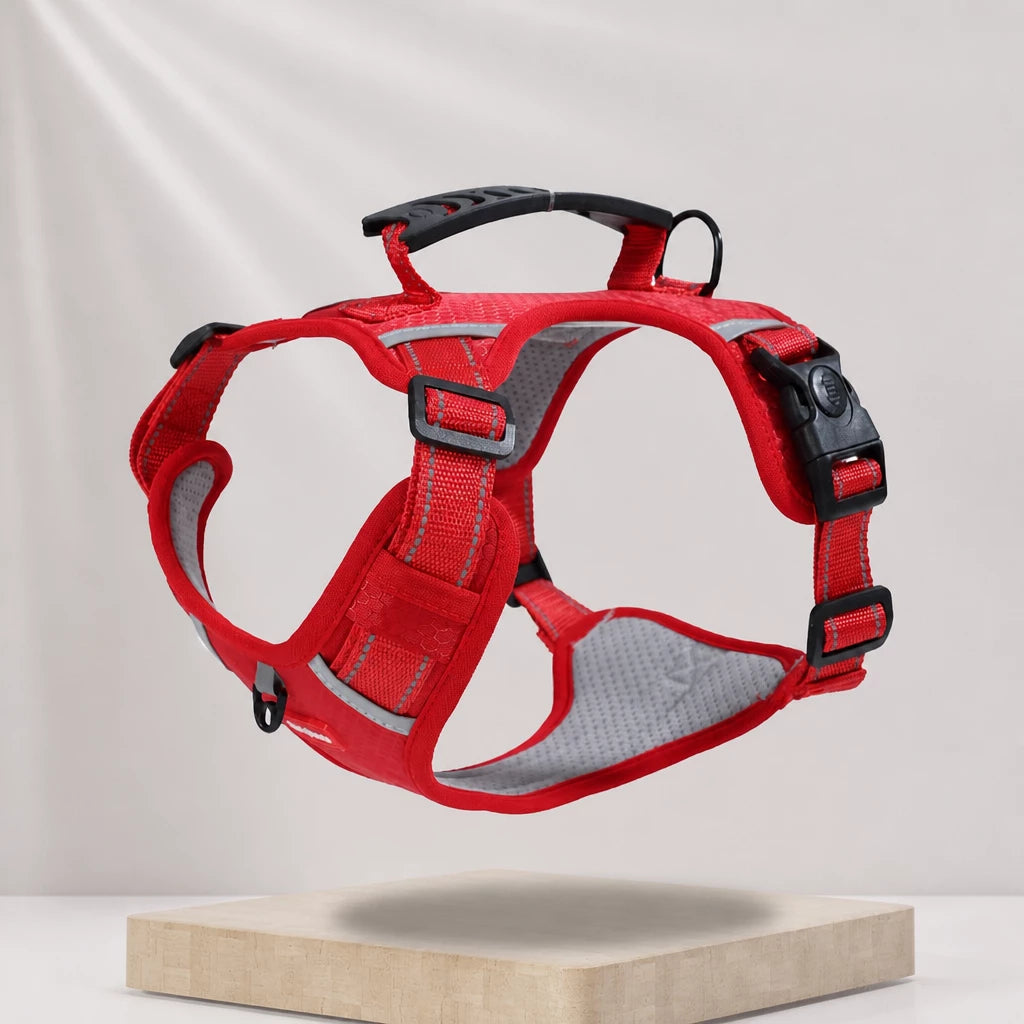 Nylon Dog Harness with Optional Leash