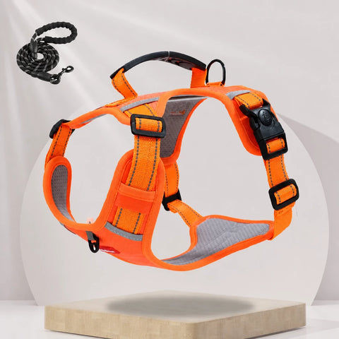 Nylon Dog Harness with Optional Leash