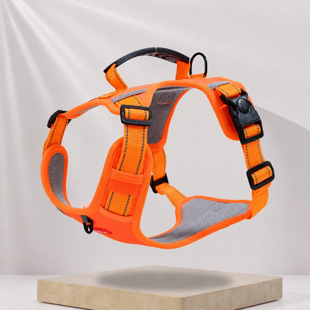 Nylon Dog Harness with Optional Leash