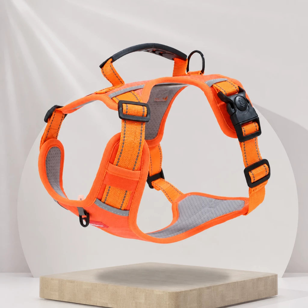 Nylon Dog Harness with Optional Leash