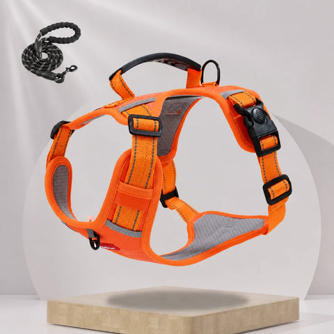 Nylon Dog Harness with Optional Leash