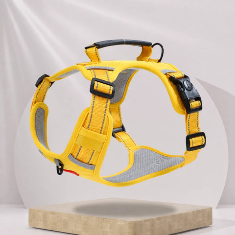 Nylon Dog Harness with Optional Leash