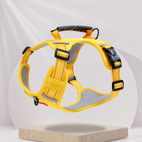 Nylon Dog Harness with Optional Leash