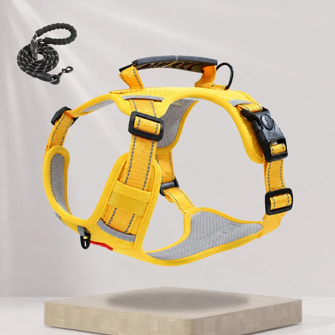 Nylon Dog Harness with Optional Leash