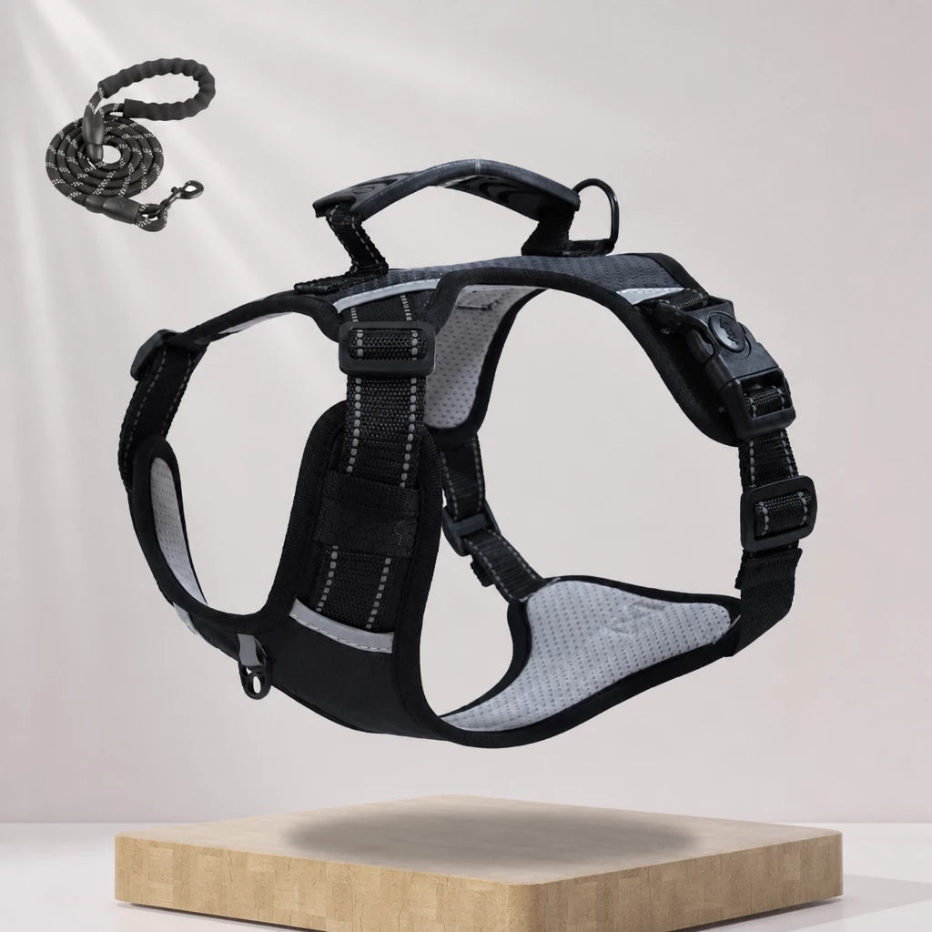 Nylon Dog Harness with Optional Leash