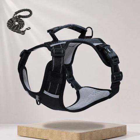 Nylon Dog Harness with Optional Leash