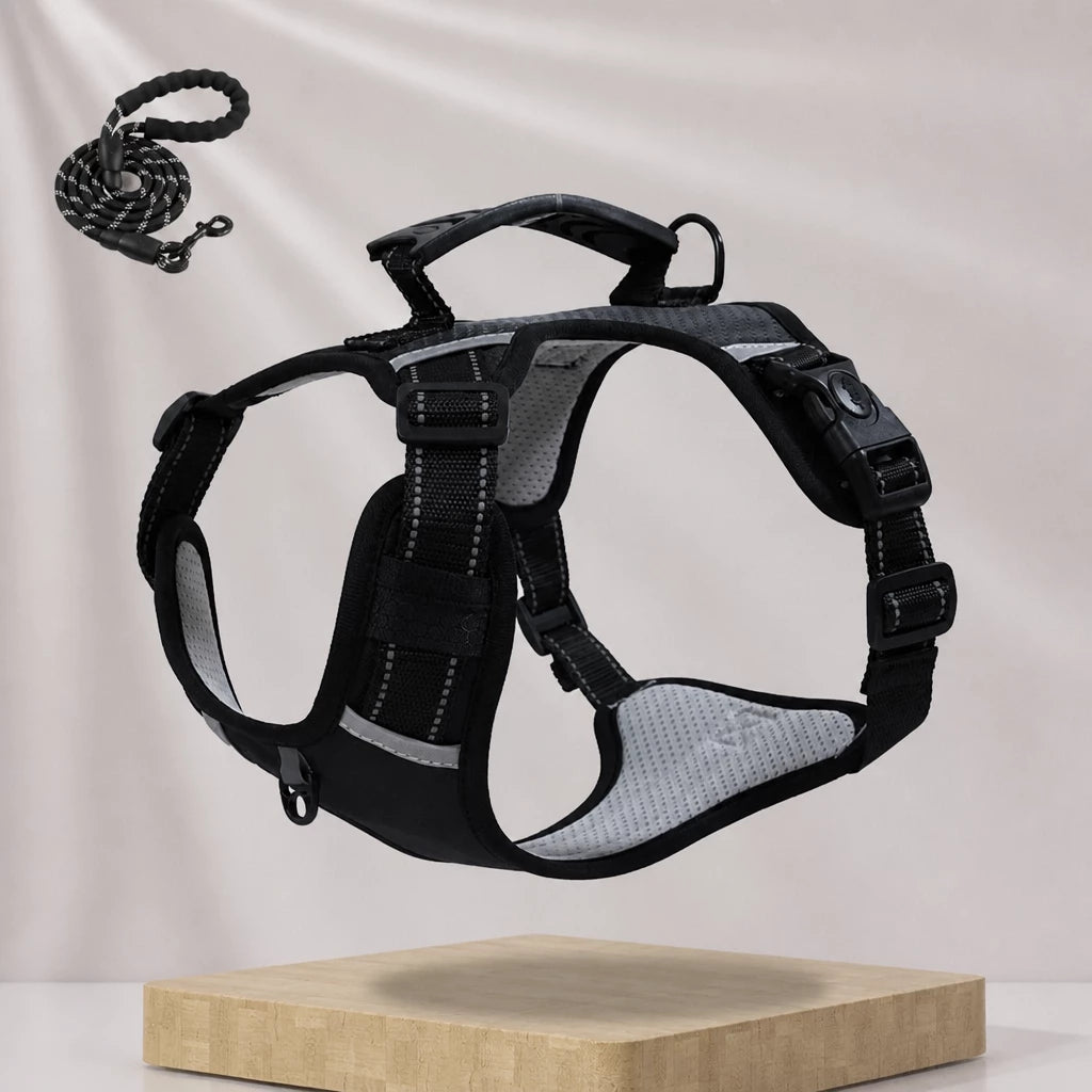 Nylon Dog Harness with Optional Leash