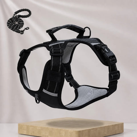 Nylon Dog Harness with Optional Leash