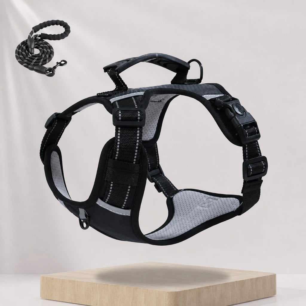 Nylon Dog Harness with Optional Leash