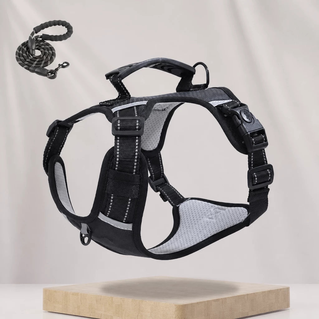 Nylon Dog Harness with Optional Leash