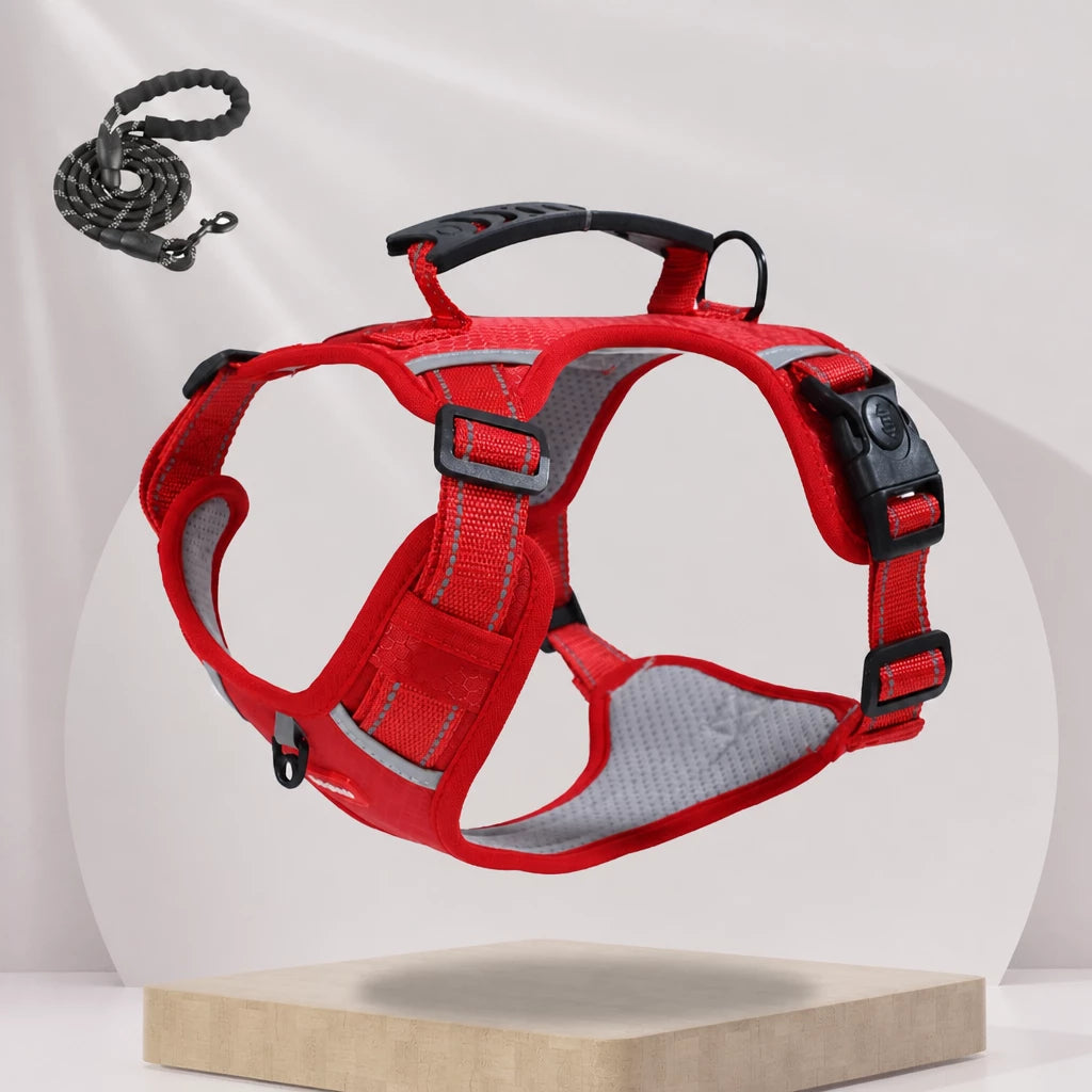 Nylon Dog Harness with Optional Leash