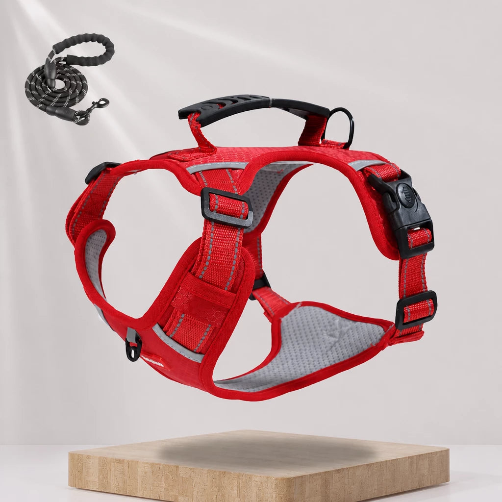 Nylon Dog Harness with Optional Leash