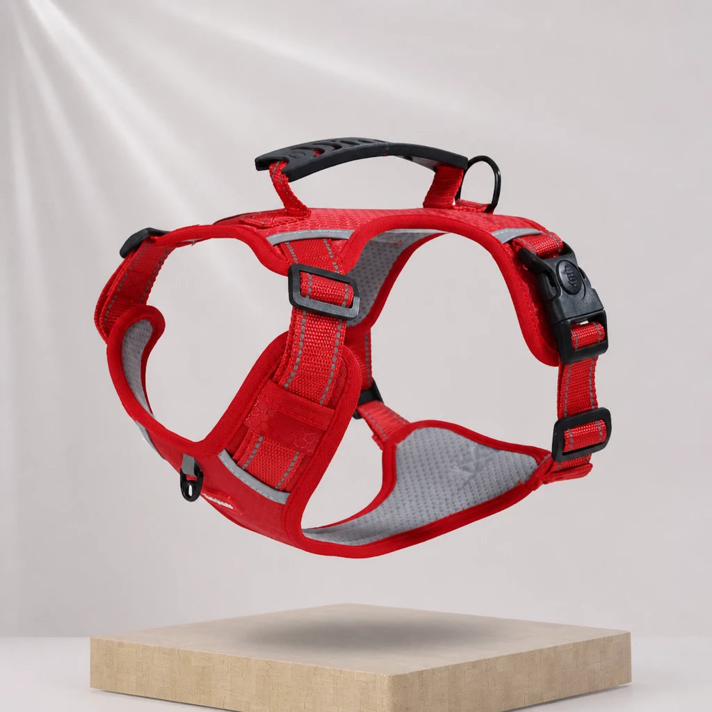 Nylon Dog Harness with Optional Leash