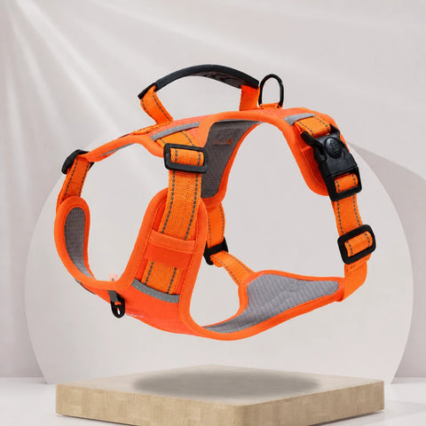Nylon Dog Harness with Optional Leash