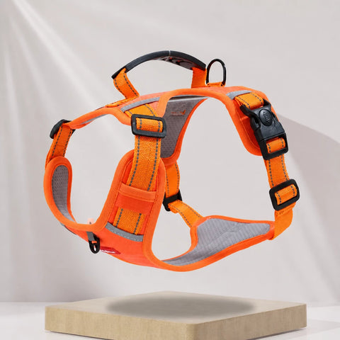 Nylon Dog Harness with Optional Leash