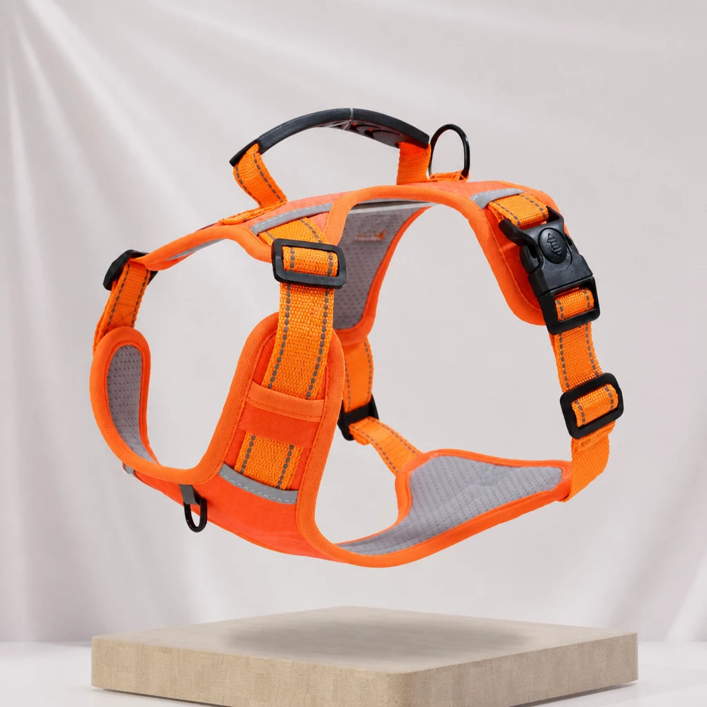Nylon Dog Harness with Optional Leash