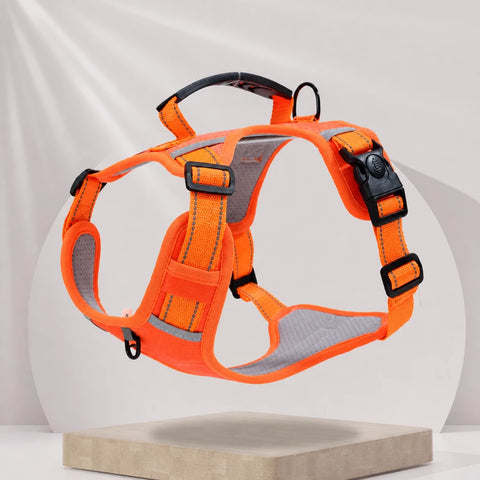 Nylon Dog Harness with Optional Leash