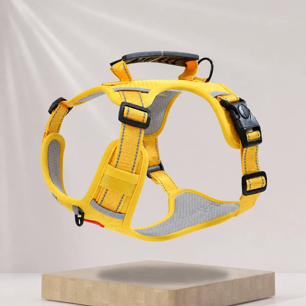 Nylon Dog Harness with Optional Leash