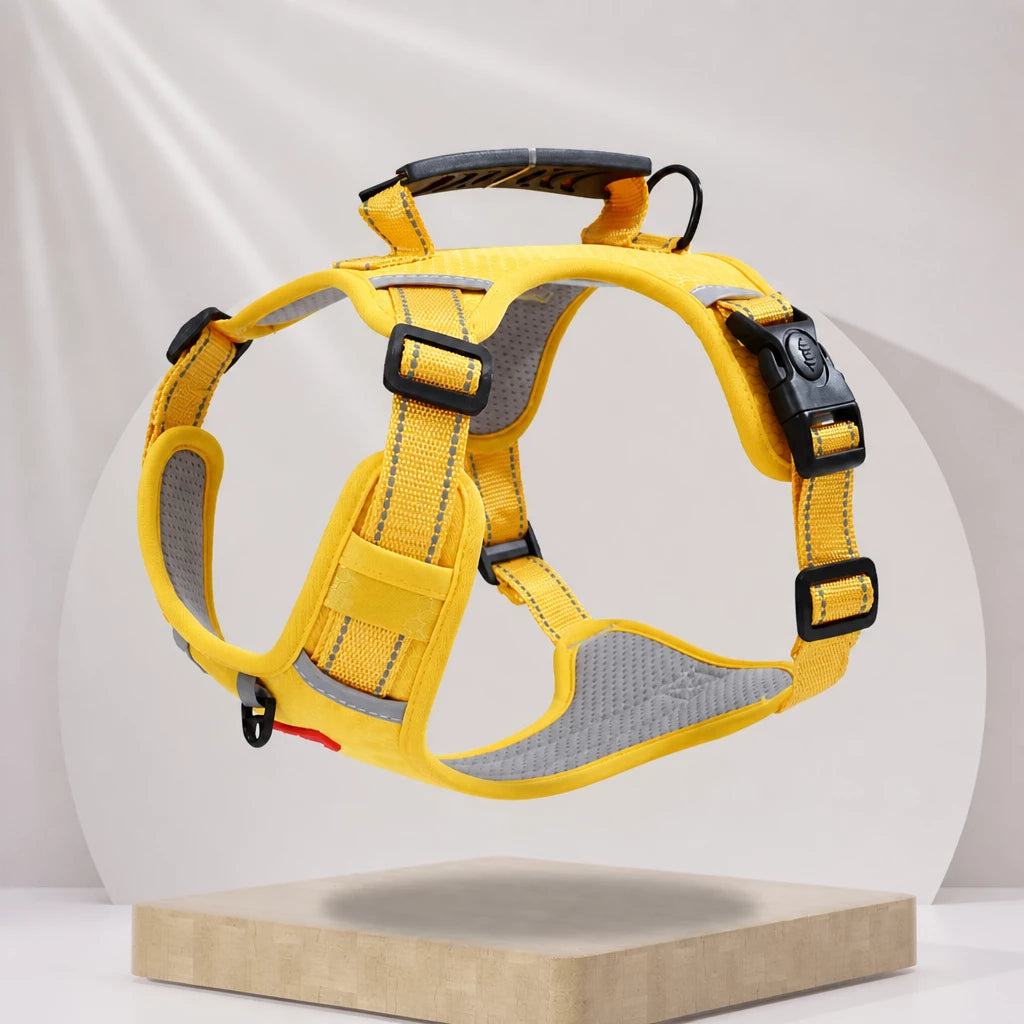 Nylon Dog Harness with Optional Leash