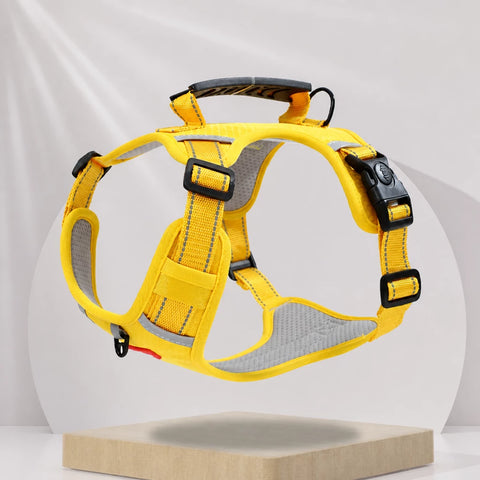 Nylon Dog Harness with Optional Leash