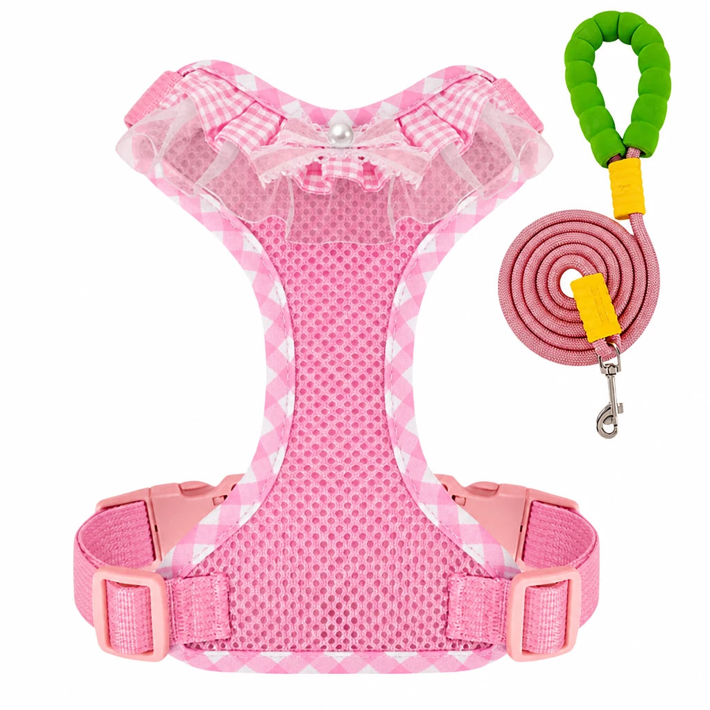 Nylon H-Style Dog Harness and 6.6-Foot Leash Set