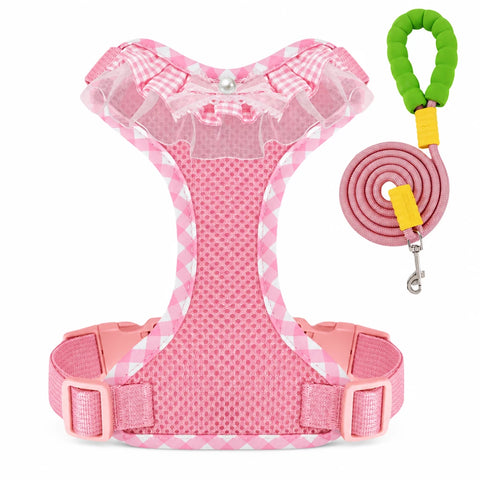 Nylon H-Style Dog Harness and 6.6-Foot Leash Set