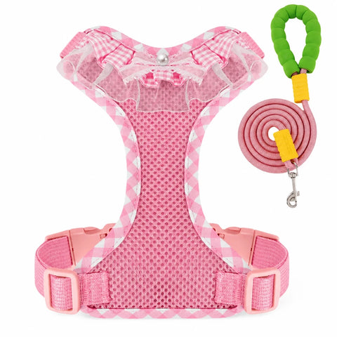Nylon H-Style Dog Harness and 6.6-Foot Leash Set