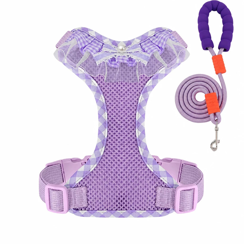 Nylon H-Style Dog Harness and 6.6-Foot Leash Set