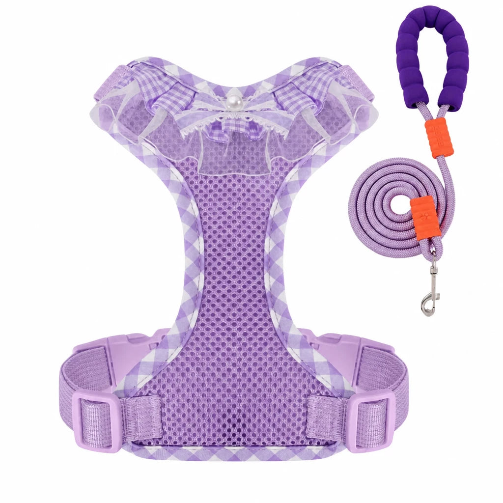 Nylon H-Style Dog Harness and 6.6-Foot Leash Set