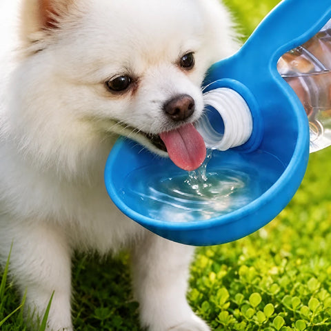 Portable Foldable Dog Water Bottle with Silicone Bowl