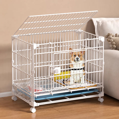 Stackable Resin Pet Crate with Integrated Tray