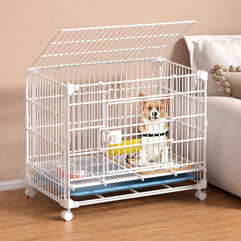 Stackable Resin Pet Crate with Integrated Tray