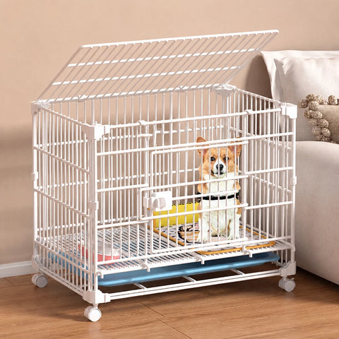 Stackable Resin Pet Crate with Integrated Tray