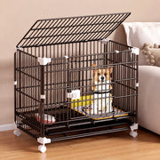 Stackable Resin Pet Crate with Integrated Tray