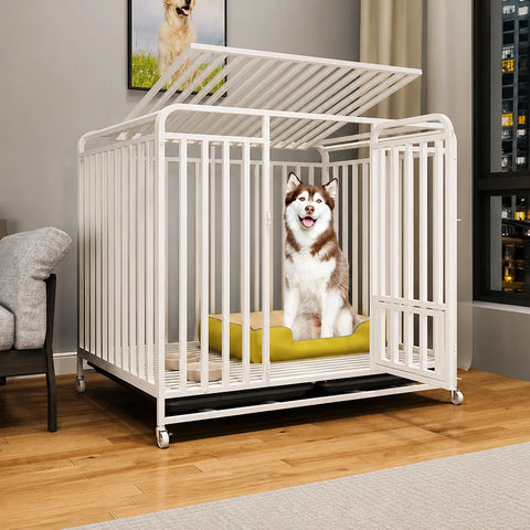 Reinforced Metal Dog Crate with Integrated Toilet Area
