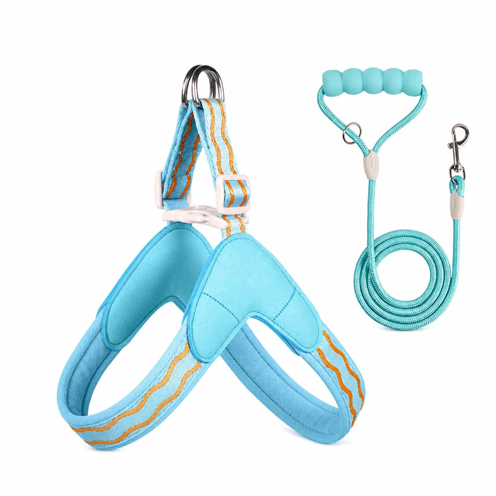 Y-Shaped Nylon Dog Harness and Leash for Small to Medium Dogs