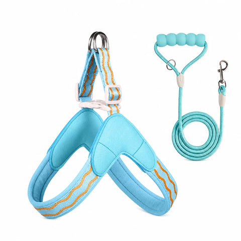 Y-Shaped Nylon Dog Harness and Leash for Small to Medium Dogs
