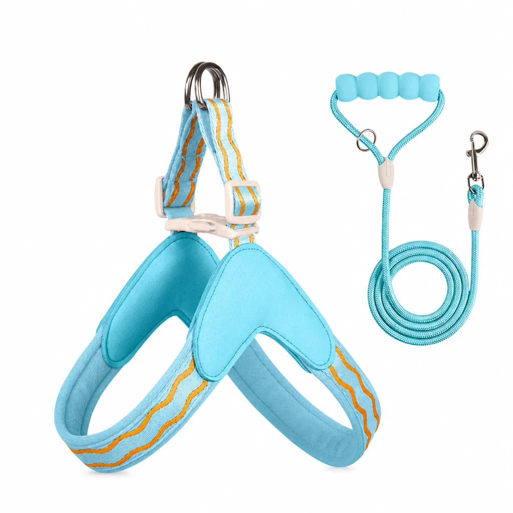 Y-Shaped Nylon Dog Harness and Leash for Small to Medium Dogs